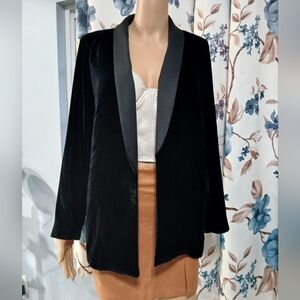 Zara Velvet Jacket in size XS